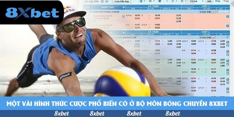 Một vài hình thức cược phổ biến có ở bộ môn bóng chuyền 8xbet