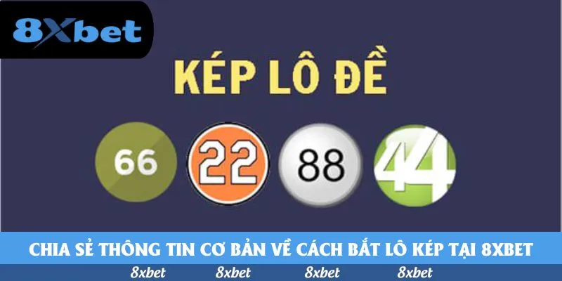 Chia sẻ thông tin cơ bản về cách bắt lô kép tại 8xbet